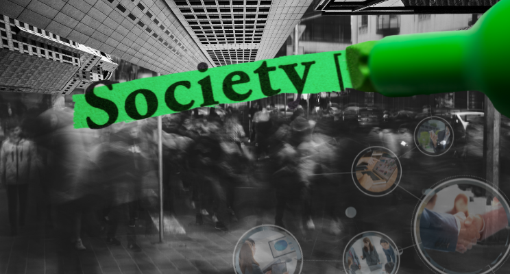 Organisations and society